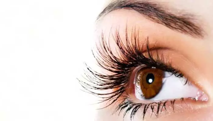 Eyes Care Tips: ఐ సైట్ తగ్గించుకోవడానికి ఇలా చేయండి..?