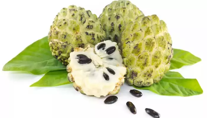 Custard Apple Seeds: సీతాఫలం గింజల్ని పారేస్తున్నారా.. ఇలా వాడండి?