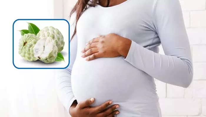 Sitaphal in Pregnancy: గర్భవతులు సీతాఫలం తినొచ్చా? నిపుణులు ఏం చెబుతున్నారంటే?