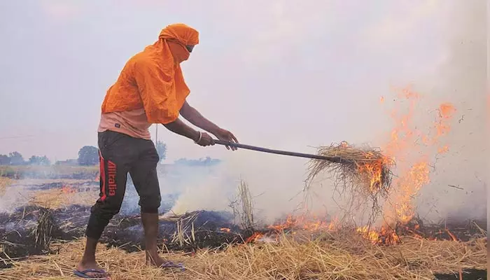 Farmers: హర్యానాలో14 మంది రైతుల అరెస్ట్.. పంట వ్యర్థాల దహనంపై చర్యలు