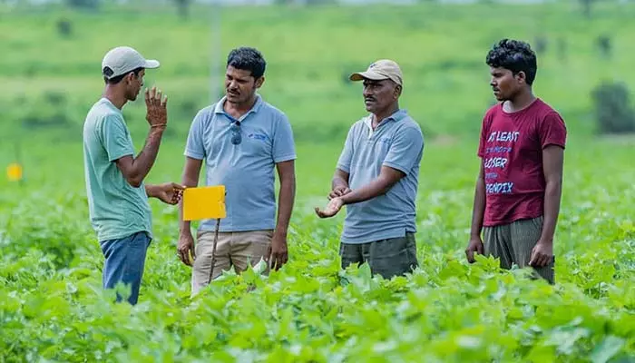 Organic Farming: యువత కోసం ఆర్గానిక్ ఫార్మింగ్‌లో 3 నెలల శిక్షణ.. ఎలా అప్లై చేసుకోవాలంటే?