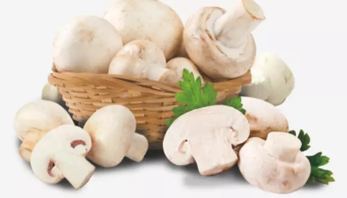 Benefits for Mushrooms : పుట్టగొడుగుల్లోని ఆ పోషకాలు.. డైట్‌లో చేర్చుకుంటే జరిగే మార్పులివే..