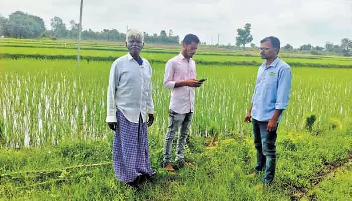 150 మందికి పైగా ఉద్యోగులపై సస్పెన్షన్ వేటు