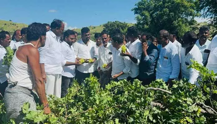 AP News:భారీ వర్షం బాధితులకు ప్రభుత్వం అండగా ఉంటుంది:పరిటాల శ్రీరామ్