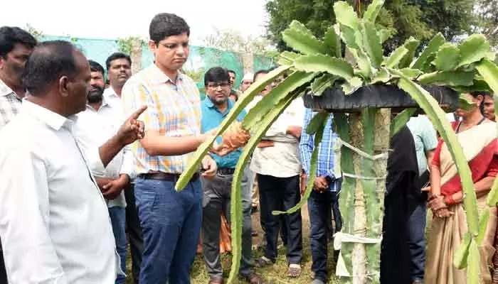 పండ్ల తోటల సాగుపై రైతులకు అవగాహన కల్పించాలి