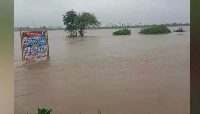 AEO : తప్పయింది.. ఈ ఒక్కసారి క్షమించండి..