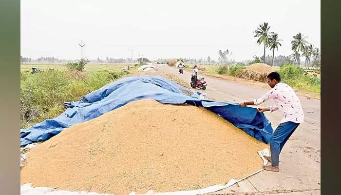 purchase centers : ధాన్యం రైతు గోస.. కొనుగోళ్లలో నిర్లక్ష్యం.. అన్నదాతకు శాపం..