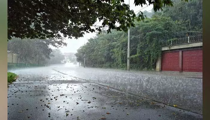 rainfall : అకాల వర్షం...అన్నదాతకు తీవ్ర నష్టం..