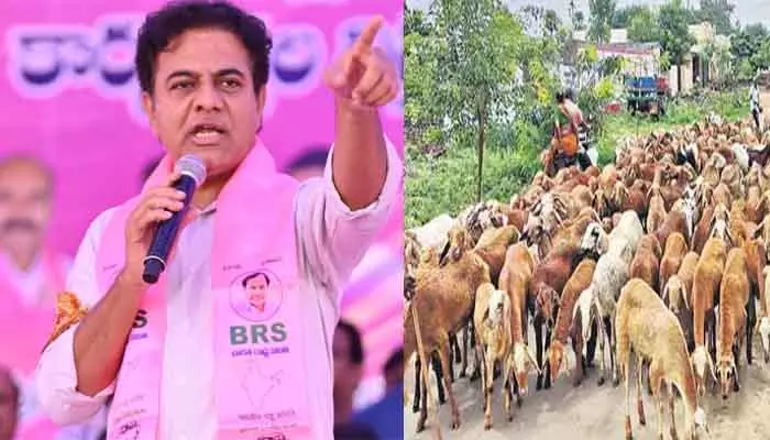 KTR : పశు సంపదలోనూ గత పదేళ్లూ పండగే : కేటీఆర్