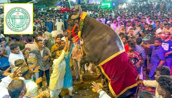 Sadar Sammelan : యాదవులకు ప్రభుత్వం గుడ్ న్యూస్.. ఇకపై రాష్ట్ర పండుగగా సదర్ సమ్మేళనం