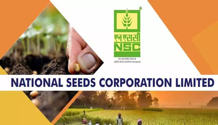 NSC Jobs: నేషనల్ సీడ్స్ కార్పొరేషన్ సంస్థలో ఉద్యోగ అవకాశాలు.. పోస్టులు, అర్హత వివరాలివే..!