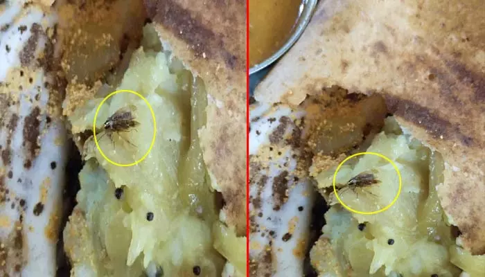 Cockroach Dosa : కస్టమర్ షాక్.. దోశ తింటుంటే ప్రత్యక్షమైన బొద్దింక!