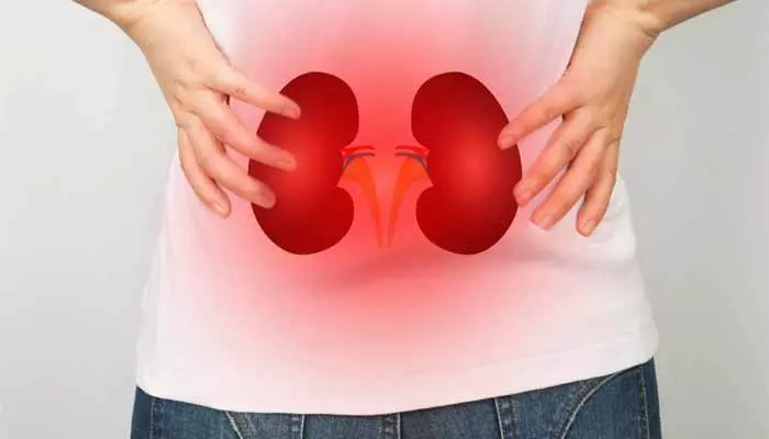 Kidney health : ఉదయం లేవగానే ఈ లక్షణాలు కనిపిస్తున్నాయా? మీ కిడ్నీలు ప్రమాదంలో పడ్డట్లే !