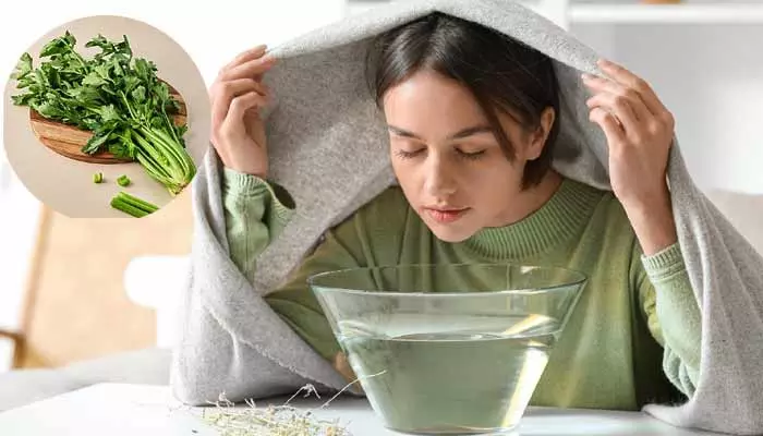 Health Tips : చలికాలంలో పిల్లలకు జలుబు.. త్వరగా తగ్గాలంటే?