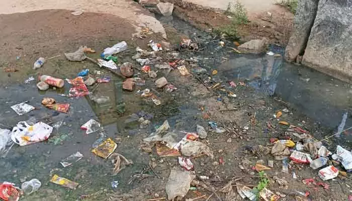 Garbage : కాలనీలో పేరుకుపోయిన చెత్తాచెదారం