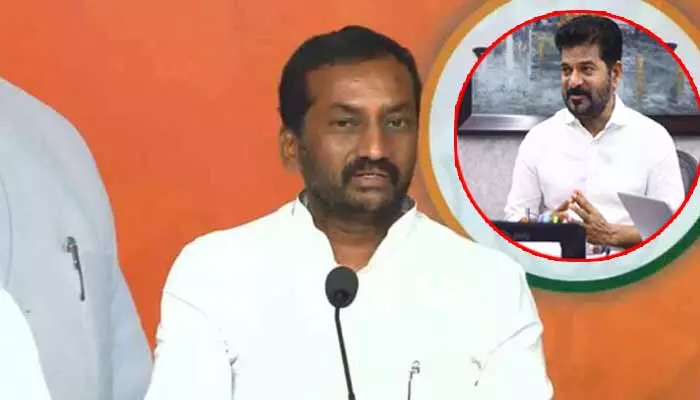 MP Raghunandan Rao: సీఎం రేవంత్ రెడ్డి జోక్యం చేసుకోండి.. ఎంపీ రఘునందన్ రావు