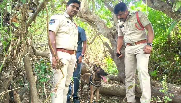 మత్తు పదార్థాలు ఉంటే జాగిలాలకు చిక్కినట్టే