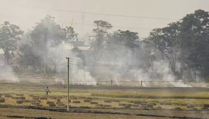 Stuble burning: పంట వ్యర్థాల దహనం.. రైతుల జరిమానా భారీగా పెంపు