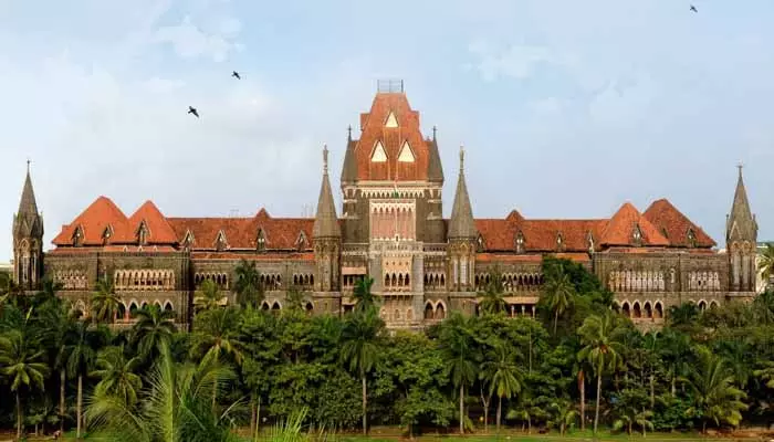 Bombay High Court: నామినేషన్లపై ట్యూటోరియల్స్ పెట్టండి