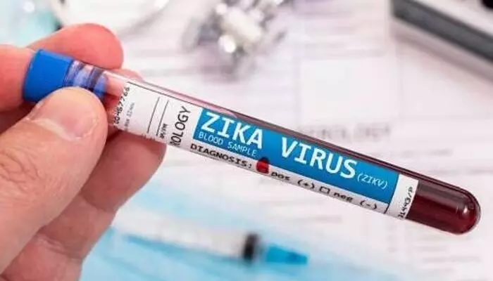 Zika virus case: గుజరాత్‌లో జికా వైరస్ కేసు.. చికిత్స తీసుకుని డిశ్చార్జ్ అయిన వ్యక్తి