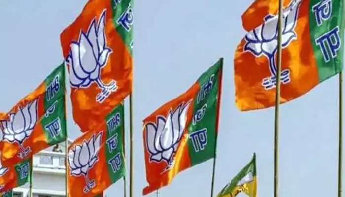 BJP: నవంబర్ 22న ఢిల్లీలో బీజేపీ జాతీయ వర్క్‌షాప్