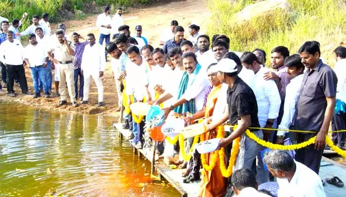 చేపల పెంపకంతో మత్స్యకారులకు లబ్ధి