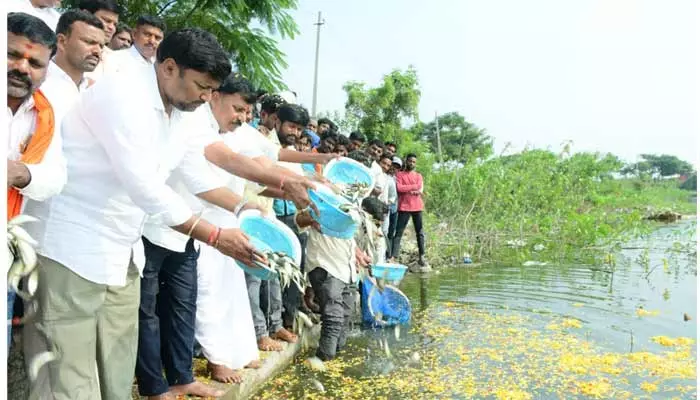 దేశంలో ఎక్కడా లేని విధంగా తెలంగాణలో సమగ్ర సర్వే.. ఎమ్మెల్యే సంజీవరెడ్డి..