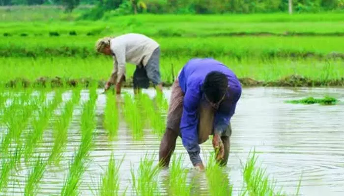 రైతులలో ఐక్యత రావాలి..!