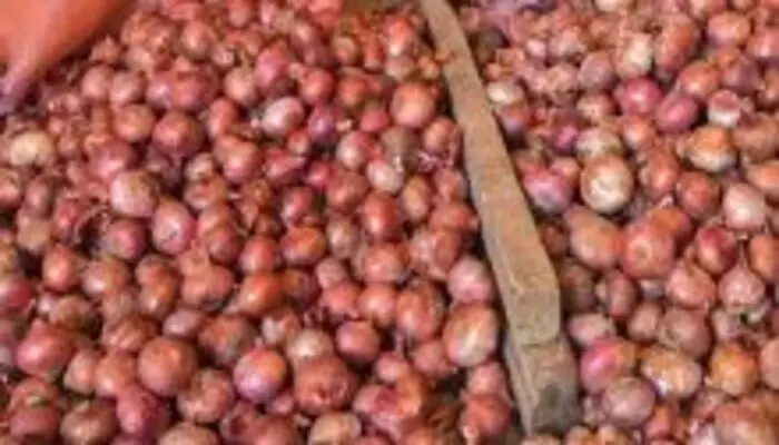 Onion Price: ఉల్లి ధరల కట్టడికి బఫర్ స్టాక్ విడుదల చేయనున్న కేంద్రం