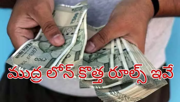 Mudra Loan Scheme: ముద్ర లోన్స్ ఎన్ని రకాలు.. ఎన్ని లక్షల వరకు రుణం పొందవచ్చు?