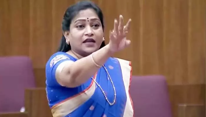 Home Minister Anitha: జగన్ తల్లికి, చెల్లికి అన్యాయం జరిగినా అండగా ఉంటాం.. వైసీపీకి హోంమంత్రి అనిత కౌంటర్