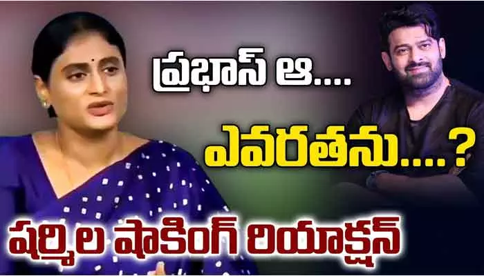 YS Sharmila:ప్రభాస్‌తో రిలేషన్‌పై స్పందించిన షర్మిల.. పిల్లల మీద ప్రమాణం చేసి షాకింగ్ కామెంట్స్!