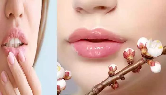 Lips: చలికి లిప్స్ పగులుతున్నాయా.. లిప్‌బామ్ బదులు వీటిని రాస్తే అందంగా, కోమలంగా మారుతాయి!!