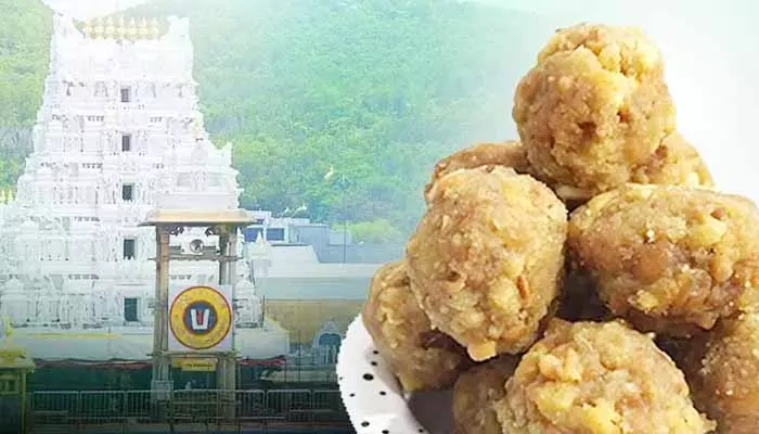 Tirumala:శ్రీవారి లడ్డూ ప్రసాదం కల్తీ ఘటన.. విచారణ ముమ్మరం చేసిన సిట్