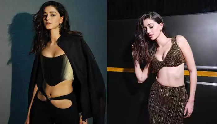 Ananya Pandey: ఆ బాధ తట్టుకోలేక చికిత్స తీసుకున్నా.. అనన్య పాండే షాకింగ్ కామెంట్స్