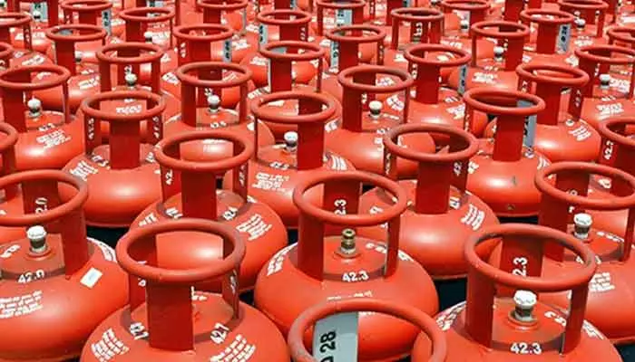 LPG Gas Price Today (30-11-2024): నేడు గృహవినియోగ గ్యాస్ సిలిండర్ ధరలు ఎలా ఉన్నాయంటే..?