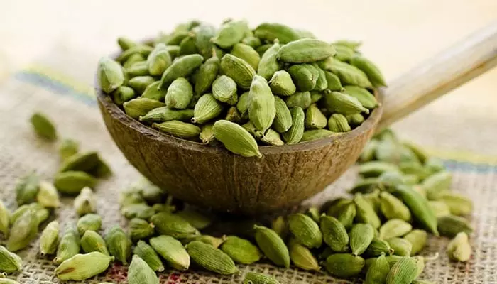 Cardamom: రోజూ ఇలాచీ తింటే ఆ అనారోగ్య సమస్యలన్నింటికీ సులభంగా చెక్ పెట్టొచ్చు!