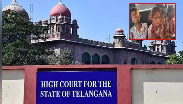 High Court: ఫుడ్ శాంపిల్స్ ల్యాబ్‌కు పంపించండి.. ప్రభుత్వానికి హైకోర్టు ఆదేశాలు