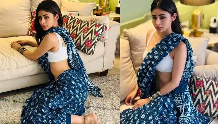 Mouni Roy: చీరలో నాగిని బ్యూటీ అందాల ఆరబోత..