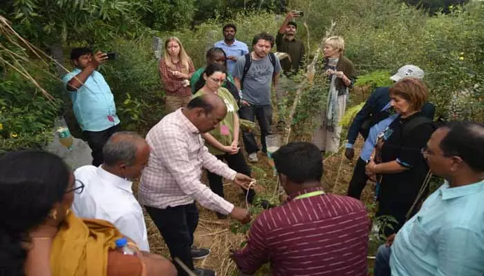 రాష్ట్రంలో ప్రకృతి వ్యవసాయం భేష్..  20 దేశాల అంతర్జాతీయ ప్రతినిధుల ప్రశంసలు