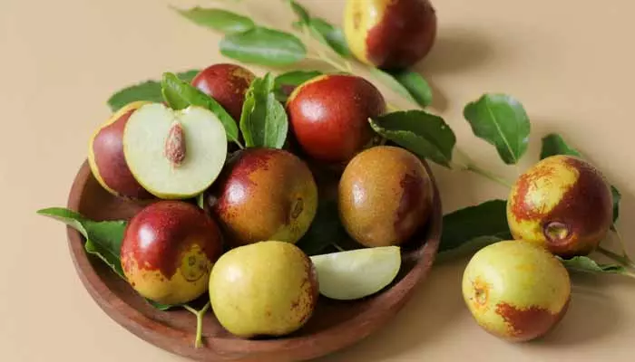 Jujube Fruit: ఈ సీజన్ పండ్లు తింటే ఎన్నో ఆరోగ్య ప్రయోజనాలు!