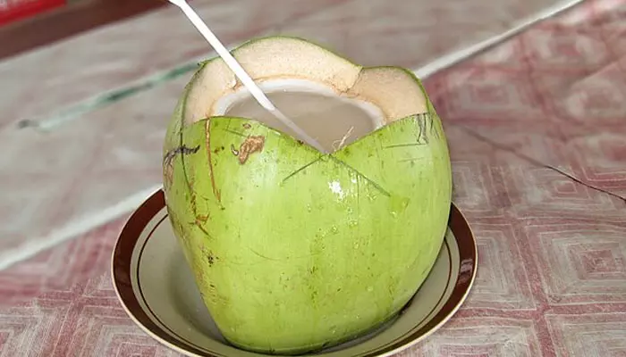 Coconut Water: కొబ్బరి నీళ్లు చలికాలంలో తాగొచ్చా? నిపుణులు ఏం చెబుతున్నారంటే?