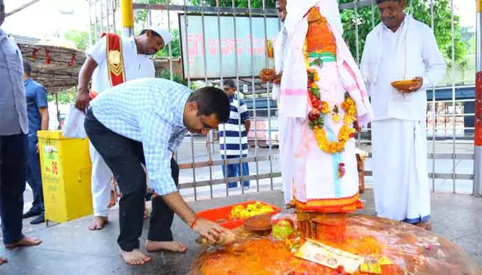 చెట్లు కూలడానికి భూకంపానికి ఎలాంటి సంబంధం లేదు : జిల్లా కలెక్టర్