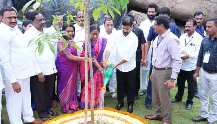 పచ్చదనం పెంచే దిశగా ప్రభుత్వం అడుగులు.. 12 ప్రాంతాలకు గ్రీన్ సిగ్నల్