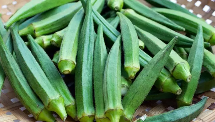 Ladyfinger: పచ్చి బెండకాయలు  తినేవారు వీటి గురించి తప్పక తెలుసుకోవాలి!