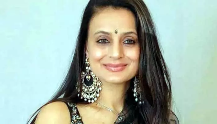 Ameesha Patel: రూ. 100 కోట్లు ఇచ్చిన అలాంటి పాత్రలో నటించను.. డైరెక్టర్‌కు గట్టి కౌంటర్ ఇచ్చిన హీరోయిన్