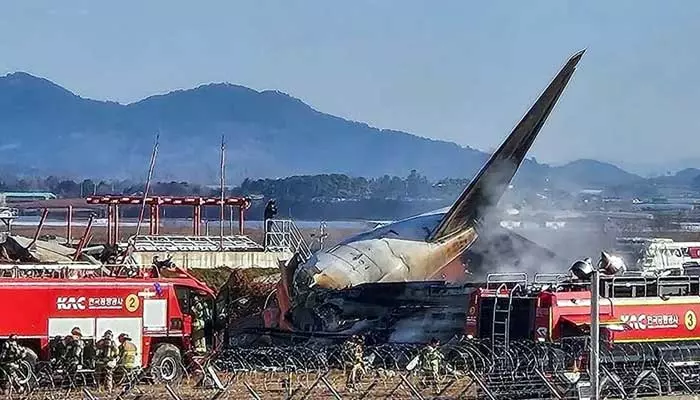 Plane Crash: 179కి చేరిన మృతుల సంఖ్య.. విమాన ప్రమాదానికి కారణమిదే!