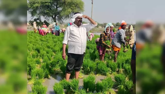 Thungathurthi: రైతులా మారిన కాంగ్రెస్ ఎమ్మెల్యే మందుల సామేలు