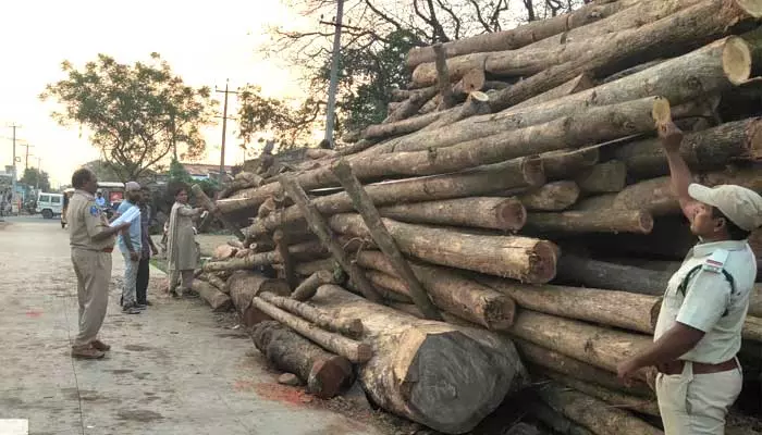 అడ్డగోలుగా టింబర్ డిపోలకు టేకు దుంగల సరఫరా