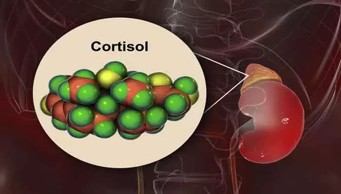 ‘కార్టిసాల్‌- డిప్రెషన్‌’.. రెండింటి మధ్య సంబంధం ఏంటి?